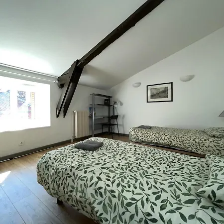 Appartamento Hypercentre Maison De Ville, Rue Pietonne Animee